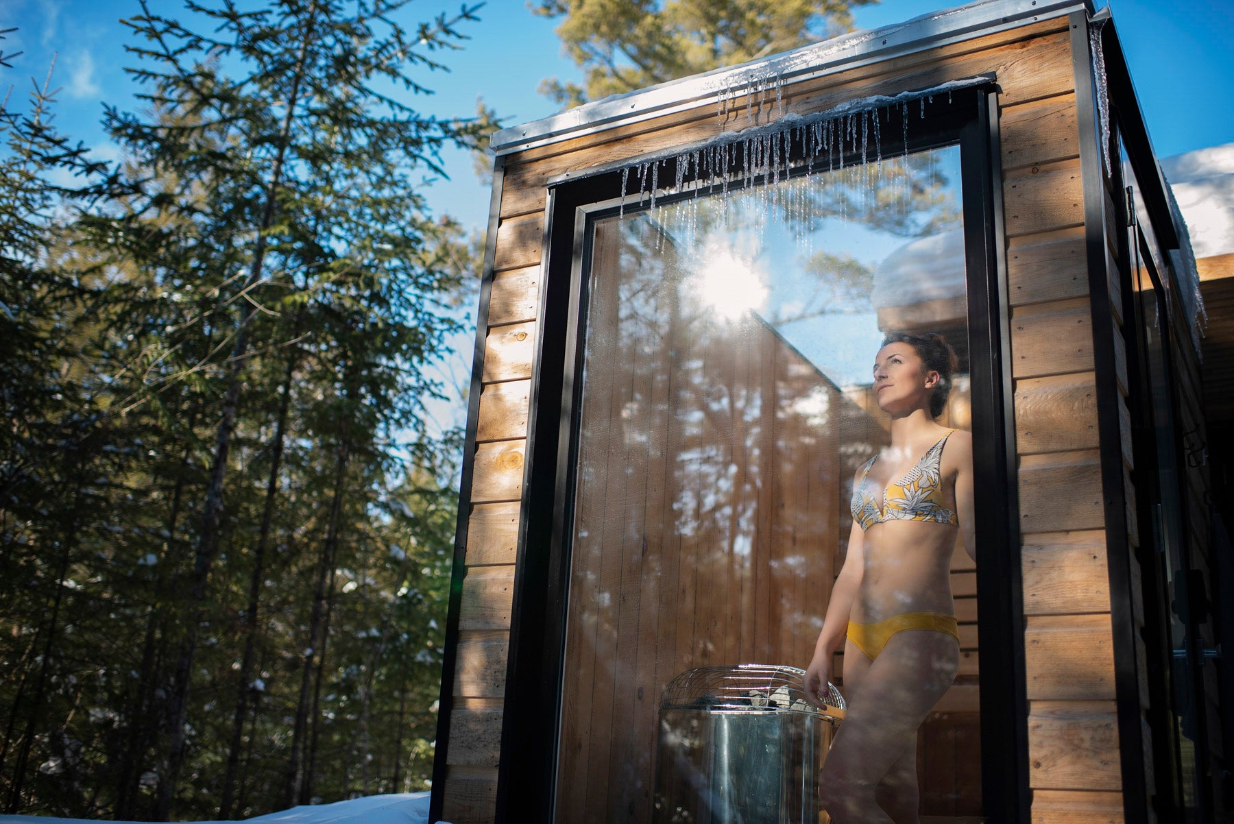 Private Swedish sauna (dry)